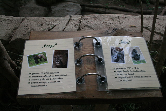 Zoo Leipzig 20-06-11 286 Zoo Leipzig 20-06-11 286