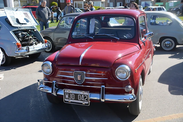 DSC_0211 DSC_0211