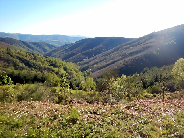 DSCN0131 DSCN0131