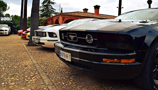 DSC_0793 DSC_0793