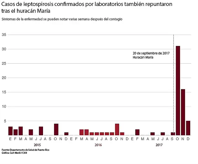 epidemia-puerto-rico-huracan-leptospirosis-maria