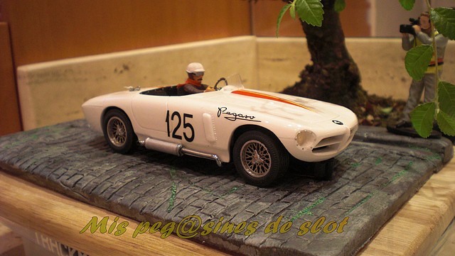 pegasos z-102 sesion fotos (22) pegasos z-102 sesion fotos (22)