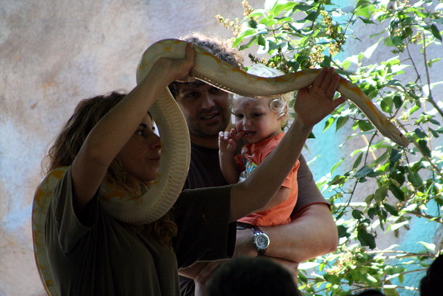 Zoo Barcelona, Faunia y Safari Madrid 1813 Zoo Barcelona, Faunia y Safari Madrid 1813