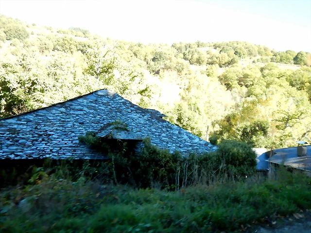 DSCN7764 DSCN7764