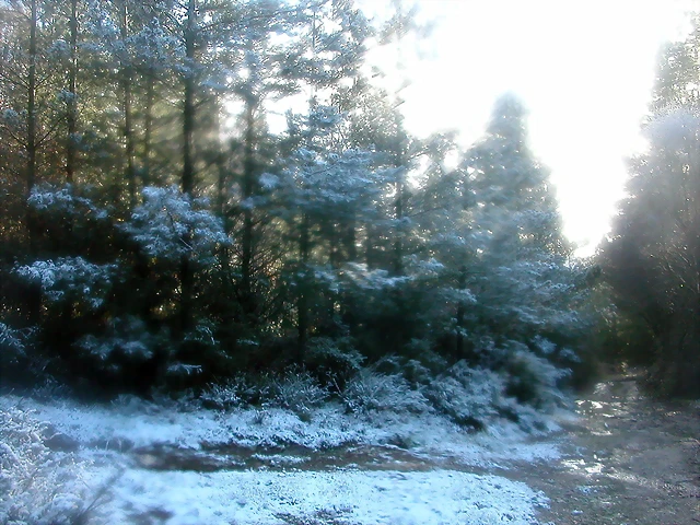 DSCN7478 DSCN7478