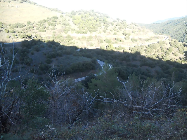 DSCN5383 DSCN5383