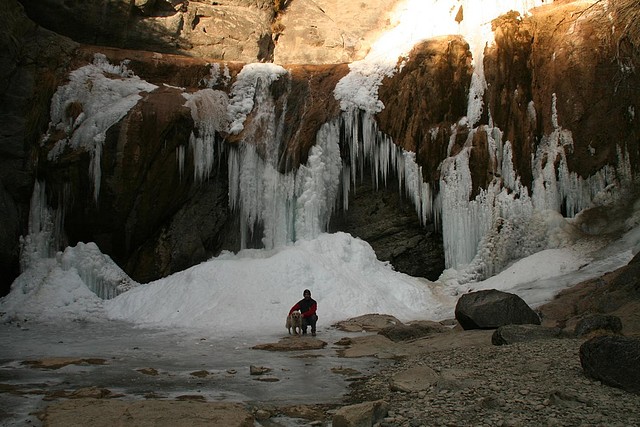 salt del moli 2012