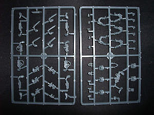 scoutssprue