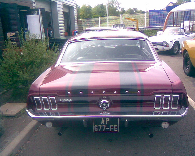 Mustang9 Mustang9