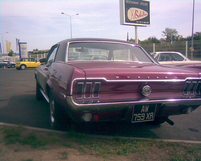 Mustang18 Mustang18