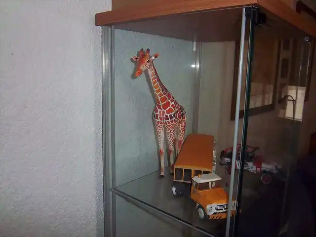 Girafa (27)