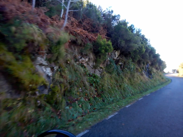 DSCN0114 DSCN0114