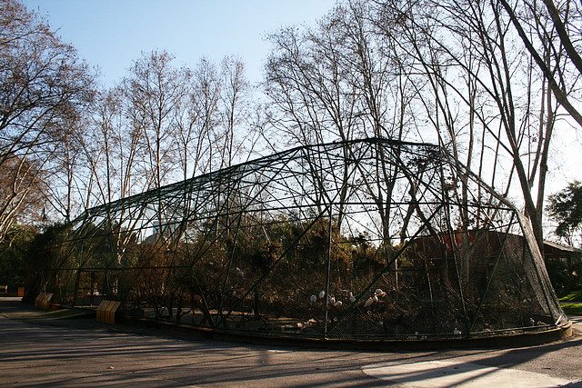 Zoo de Barcelona 02-02-11 081