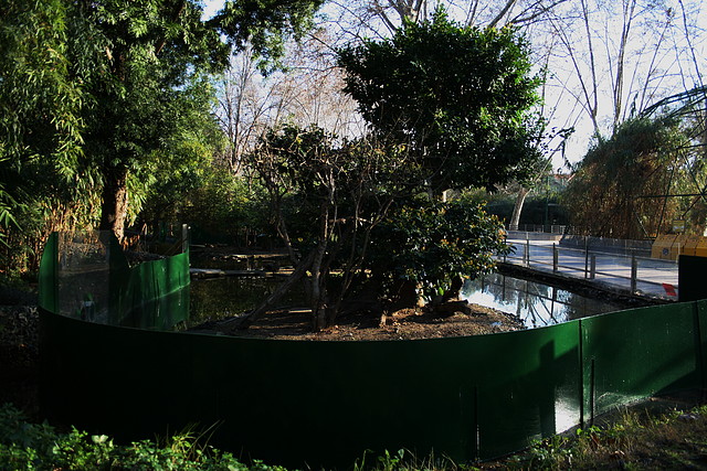 Zoo de Barcelona 02-02-11 076