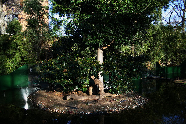 Zoo de Barcelona 02-02-11 086
