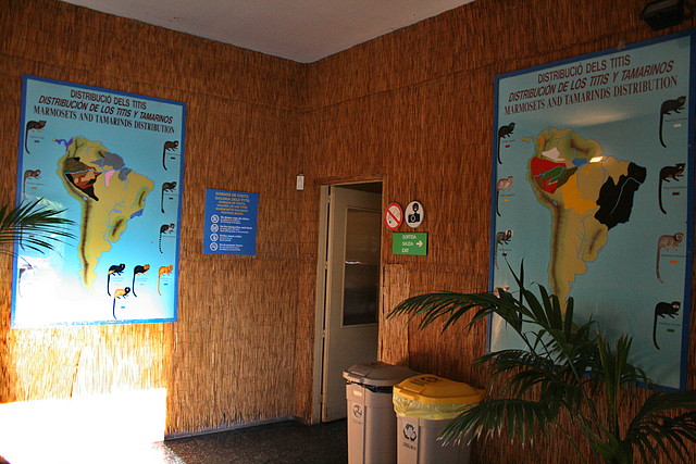 Zoo de Barcelona 02-02-11 072 Zoo de Barcelona 02-02-11 072