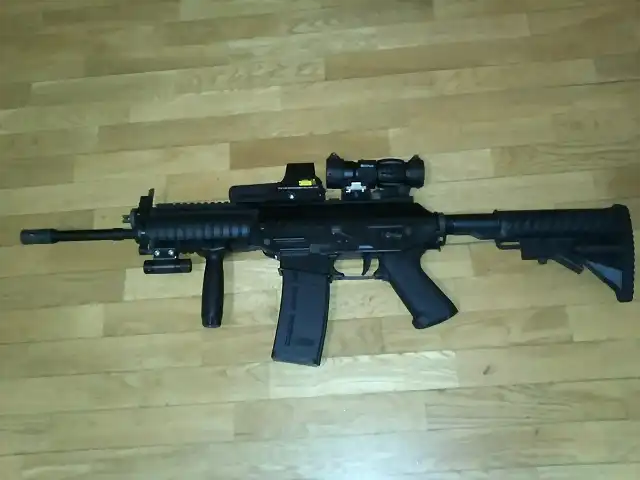 Sig-556