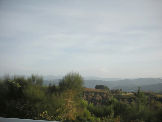 DSCN9876 DSCN9876