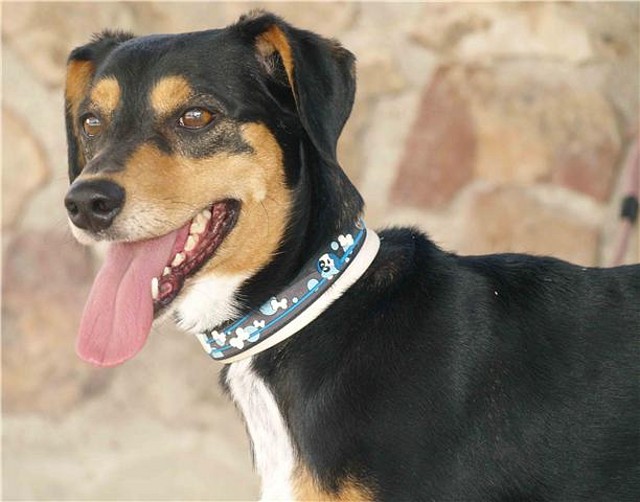 golfo1 golfo1