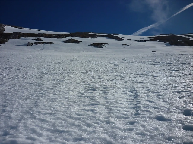 viorna 020 viorna 020