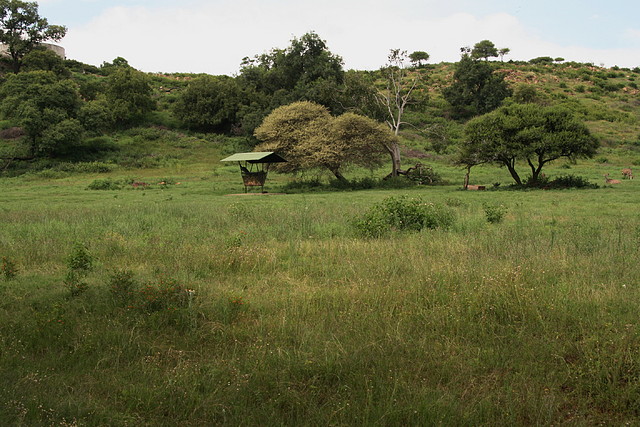 National Geological Gardens Pretoria 18-01-09 115 National Geological Gardens Pretoria 18-01-09 115