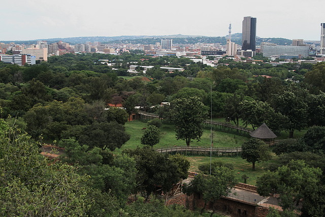 National Geological Gardens Pretoria 18-01-09 094 National Geological Gardens Pretoria 18-01-09 094