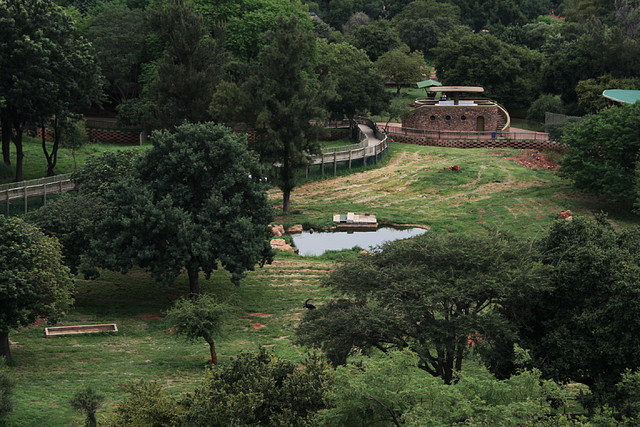 National Geological Gardens Pretoria 18-01-09 098 National Geological Gardens Pretoria 18-01-09 098