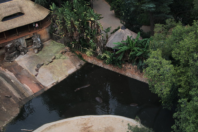 National Geological Gardens Pretoria 18-01-09 089 National Geological Gardens Pretoria 18-01-09 089