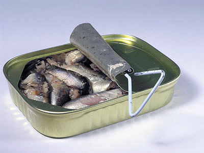 sardines