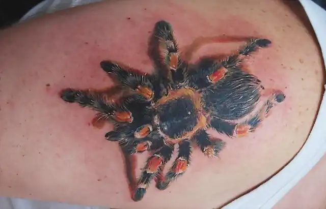 awesome-tarantula