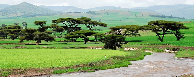 Etiopia-PN-Omo Etiopia-PN-Omo