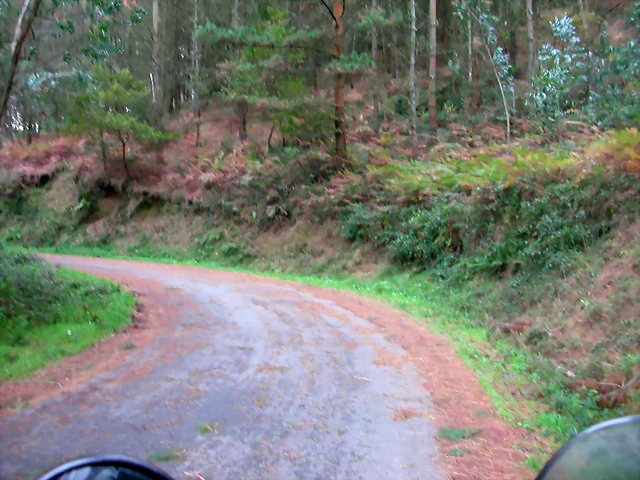 DSCN6293 DSCN6293
