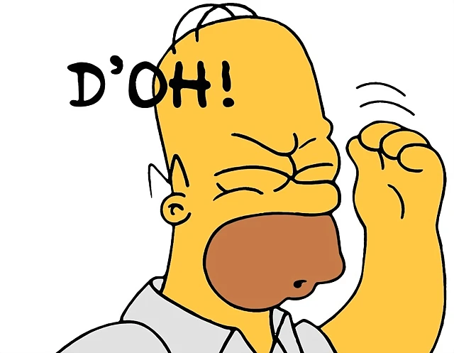 Homer Stupid Homer Stupid