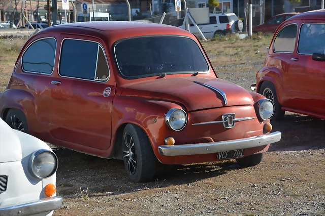 DSC_0219 DSC_0219