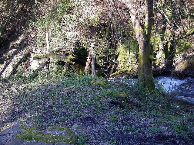 DSCN0385 DSCN0385