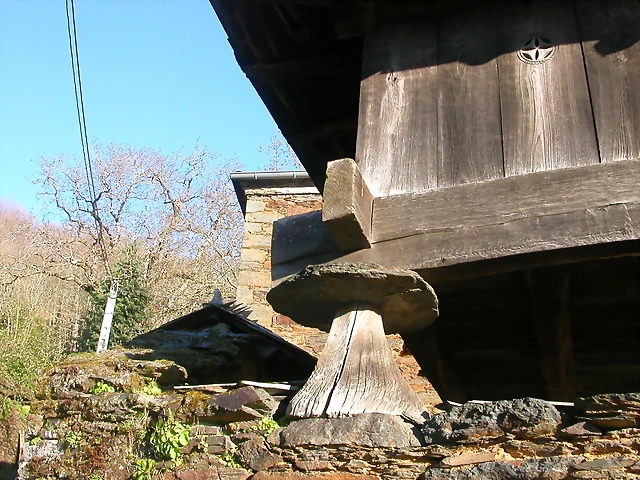 DSCN0454 DSCN0454