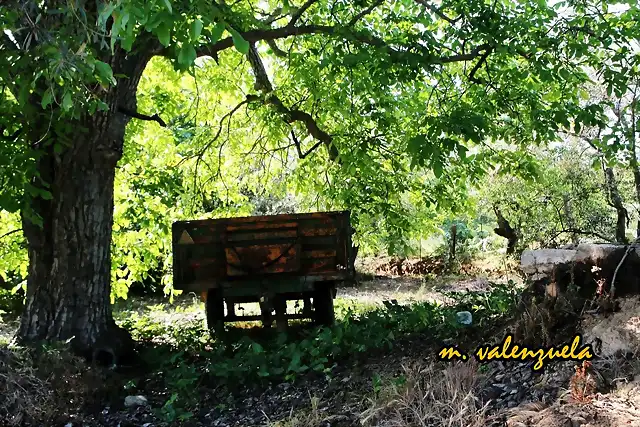 06, A LA SOMBRA DE UNA NOGUERA, MARCA