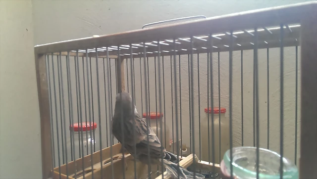 IMAG0143 IMAG0143