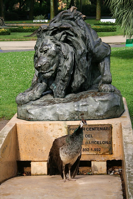 Zoo de Barcelona 09-06-11 i 10-06-11 407