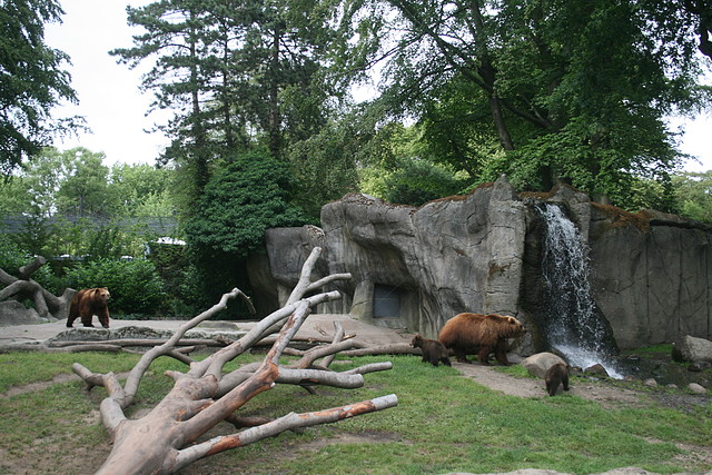 Zoo Hamburgo 17-06-11 1879 Zoo Hamburgo 17-06-11 1879