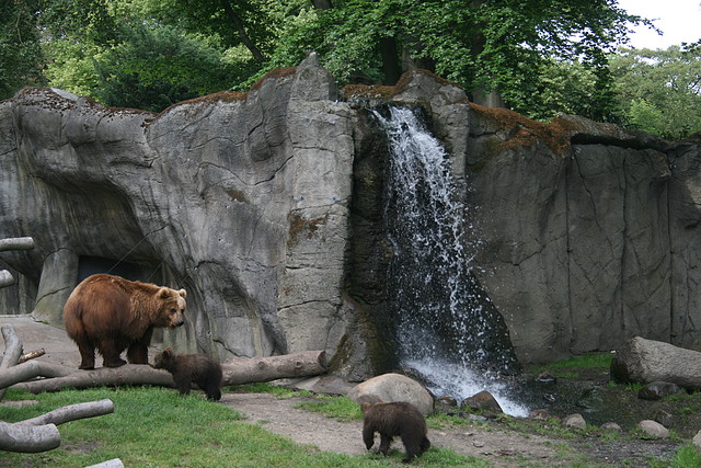 Zoo Hamburgo 17-06-11 1877 Zoo Hamburgo 17-06-11 1877