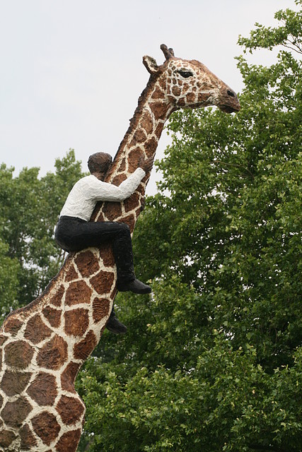 Zoo Hamburgo 17-06-11 1951 Zoo Hamburgo 17-06-11 1951