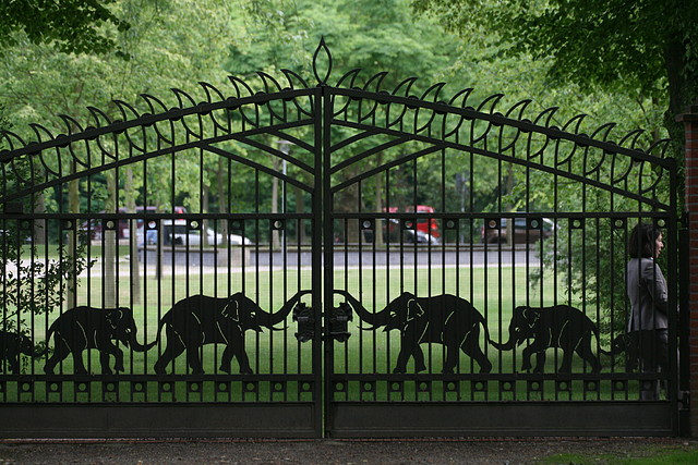 Zoo Hamburgo 17-06-11 1946 Zoo Hamburgo 17-06-11 1946