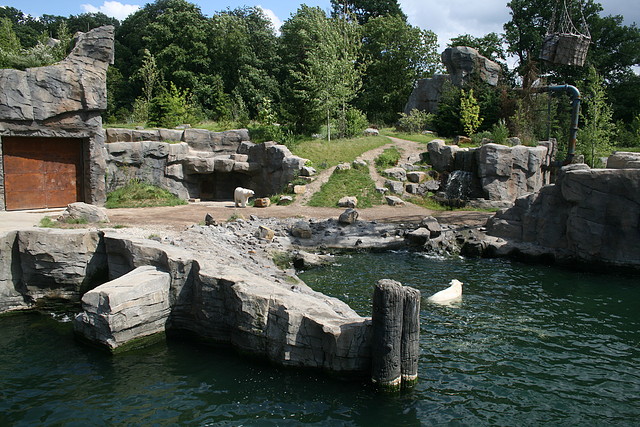 Zoo Hannover 18-06-11 957 Zoo Hannover 18-06-11 957