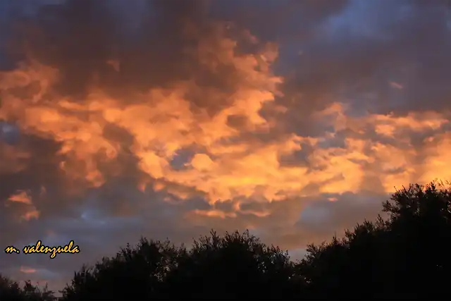 015 el cielo arrebolado, marca