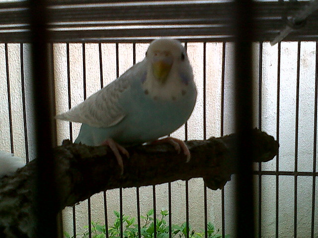 IMG00009-20101008-1620