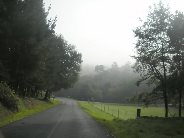 DSCN9788 DSCN9788