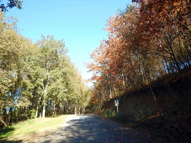 DSCN1078 DSCN1078