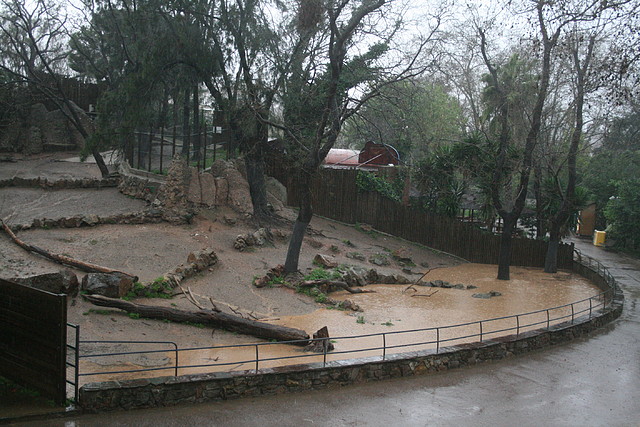 Zoo de Barcelona 15-03-11 058 Zoo de Barcelona 15-03-11 058