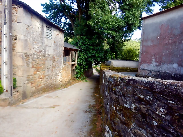 DSCN6377